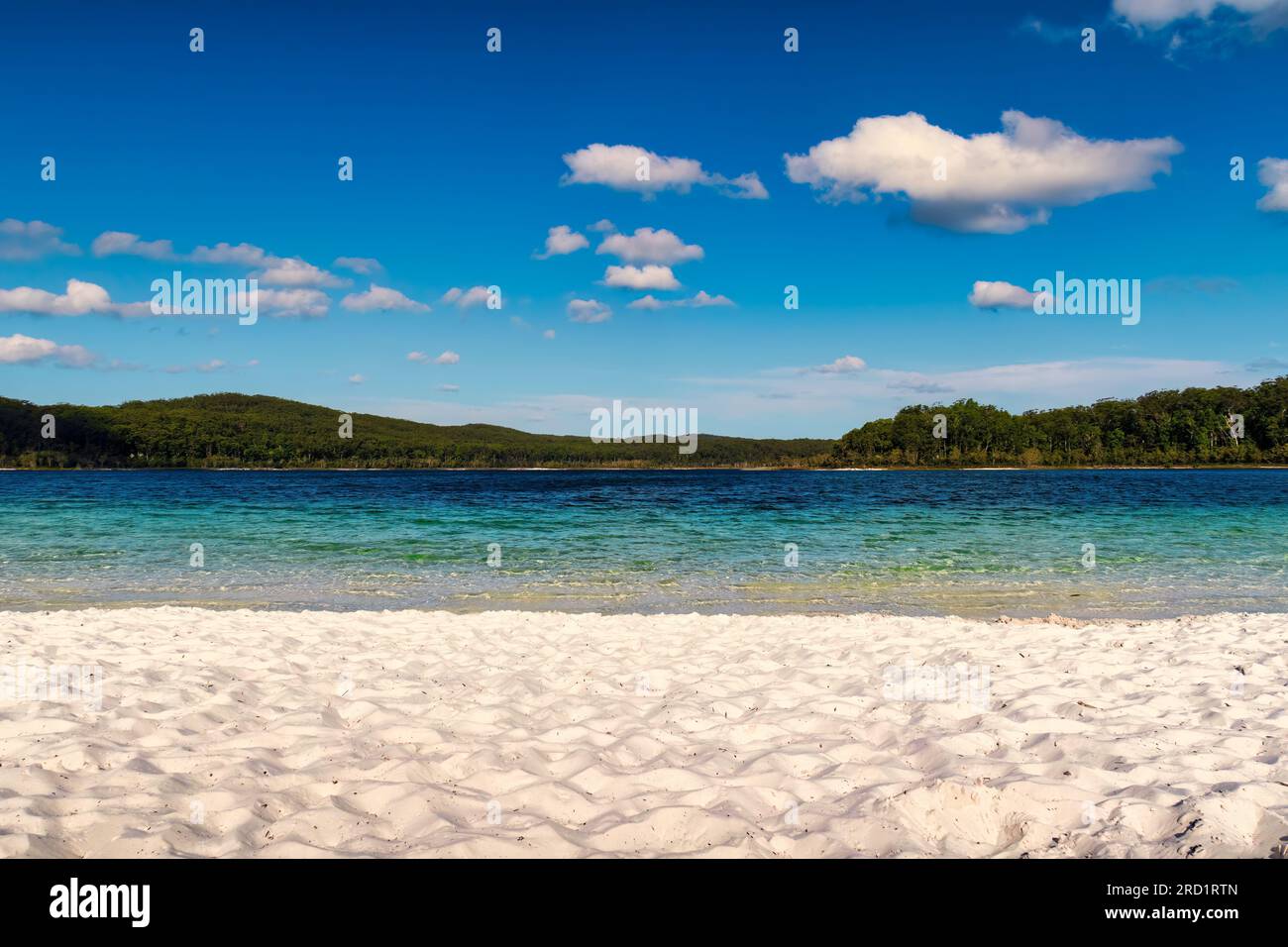 Sandy lagoon best sale