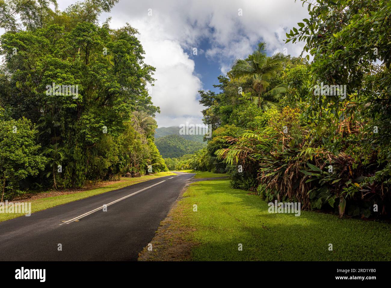 Road to Babinda Falls  through lush tropical landscape Stock Photo