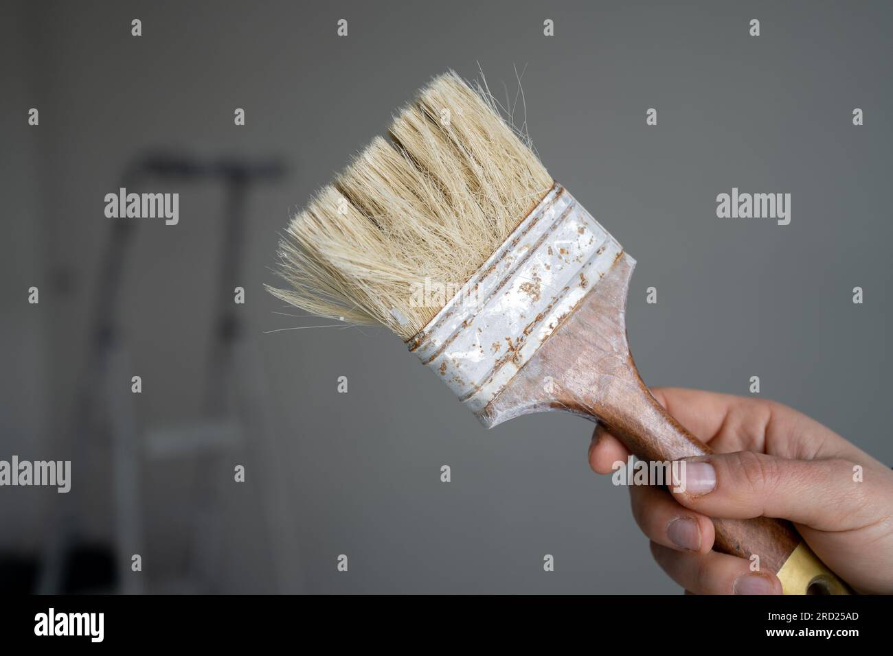 Hand holding decorators' brush for painting and decorating of buildings, home interior walls. House painter, decorator in apartment during renovation. Stock Photo