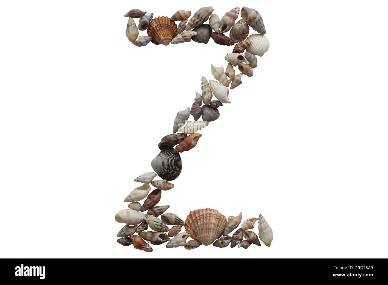 Summer concept idea. Letter Z made with sea shell isolated on white background. Stock Photo