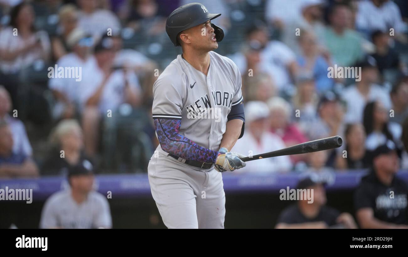 Giancarlo Stanton New York Y Baseball An American Desginated