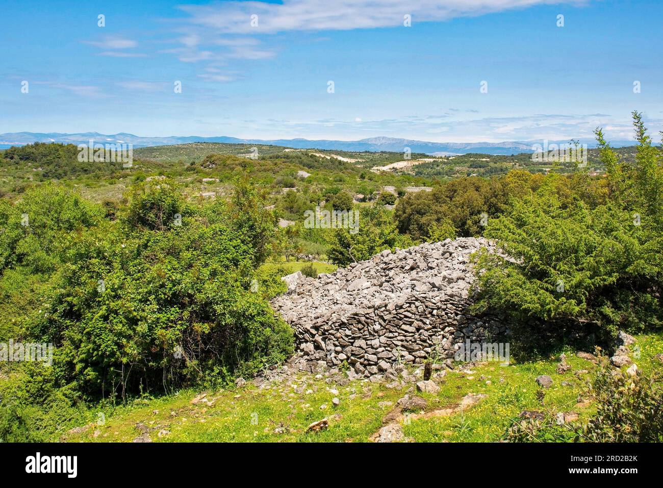 The spring landscape near Nerezisca on Brac Island in Croatia in May, showing the island's characteristic stone mounds and walls Stock Photo