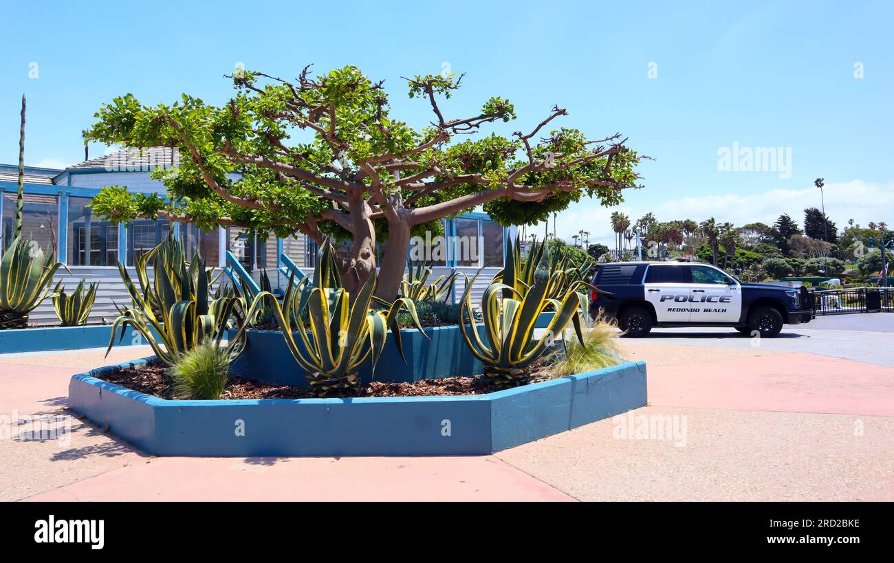 Redondo Beach, California Redondo Beach Police Car Stock Photo Alamy