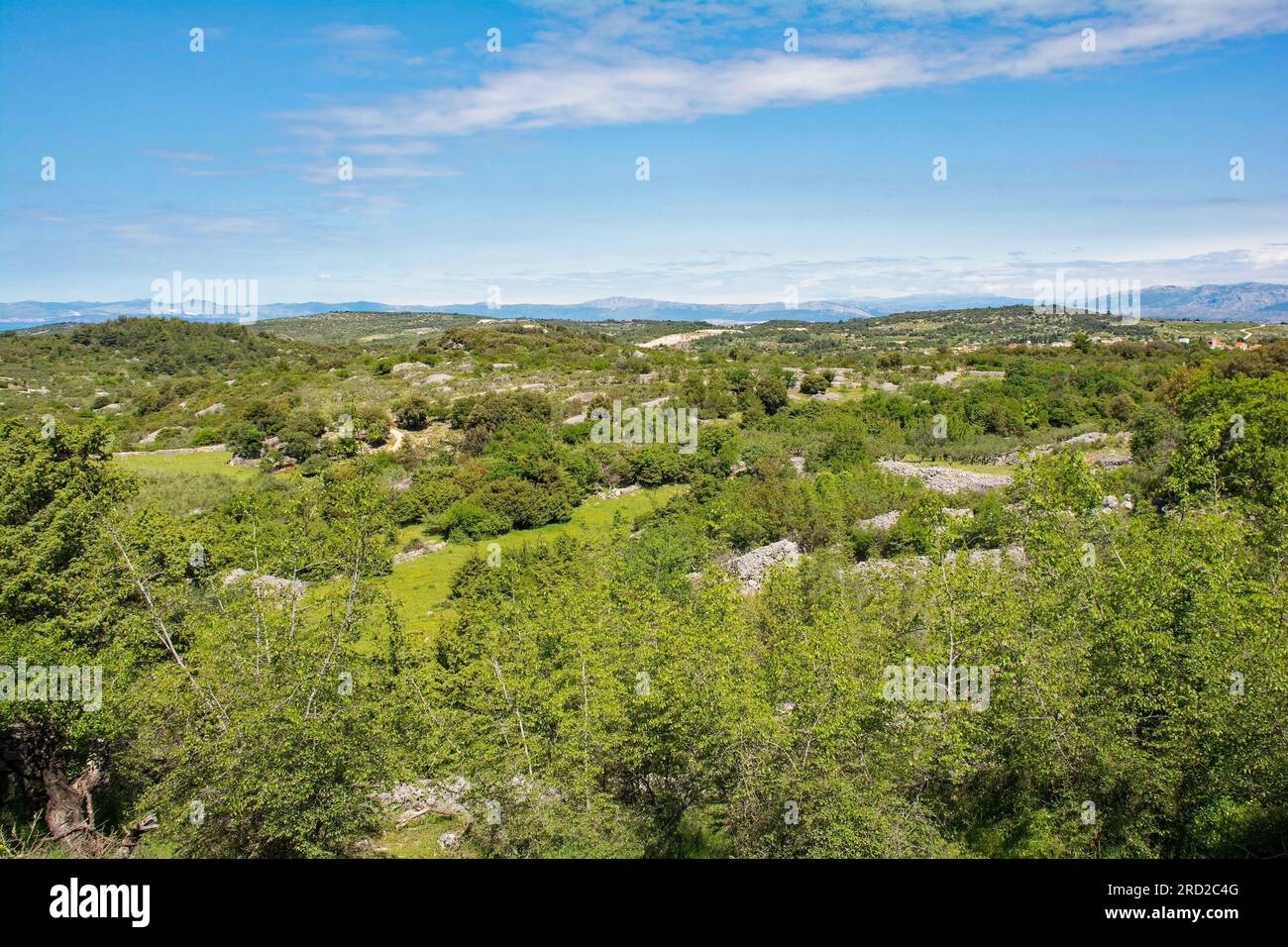 The spring landscape near Nerezisca on Brac Island in Croatia in May, showing the island's characteristic stone mounds and walls Stock Photo