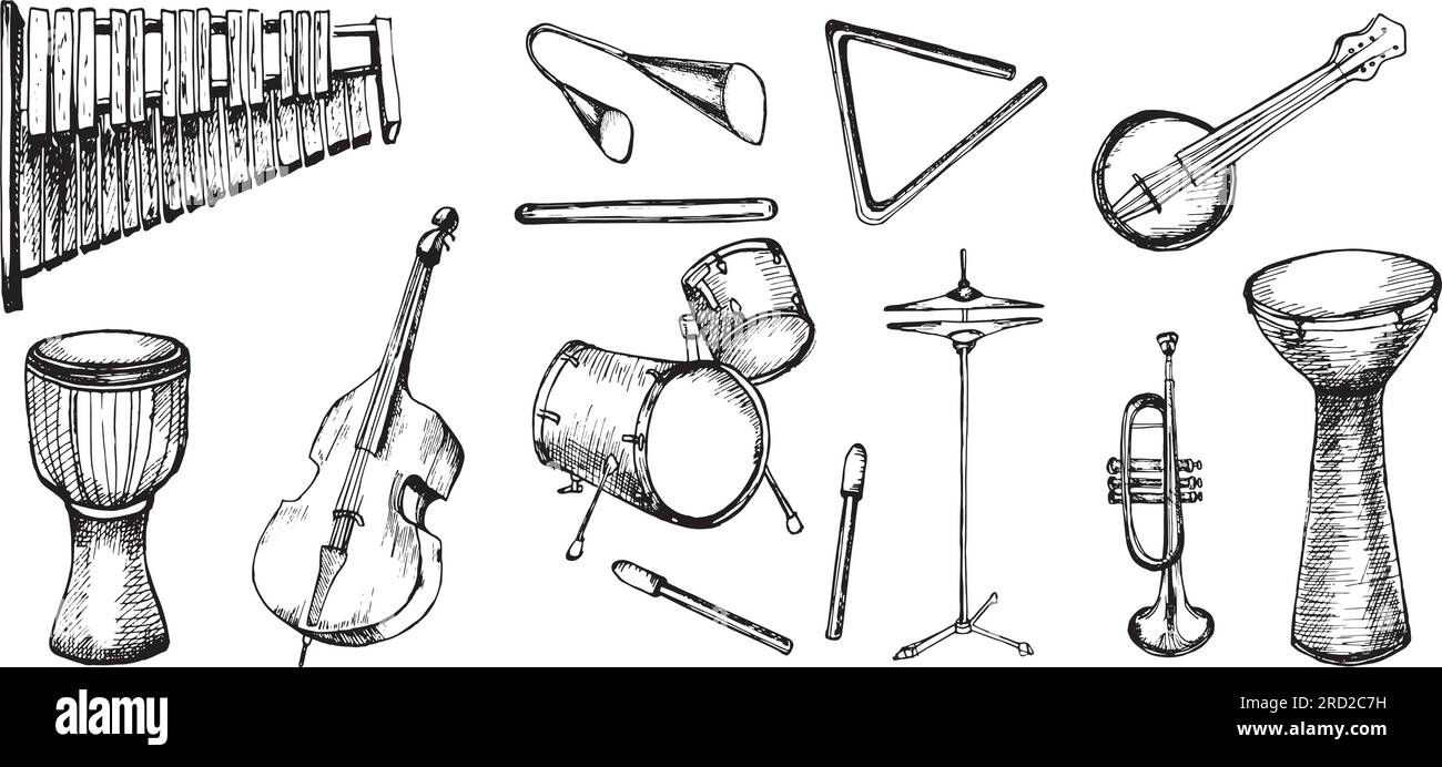 Set of drum kit, drumsticks vector illustration isolated. Musical
