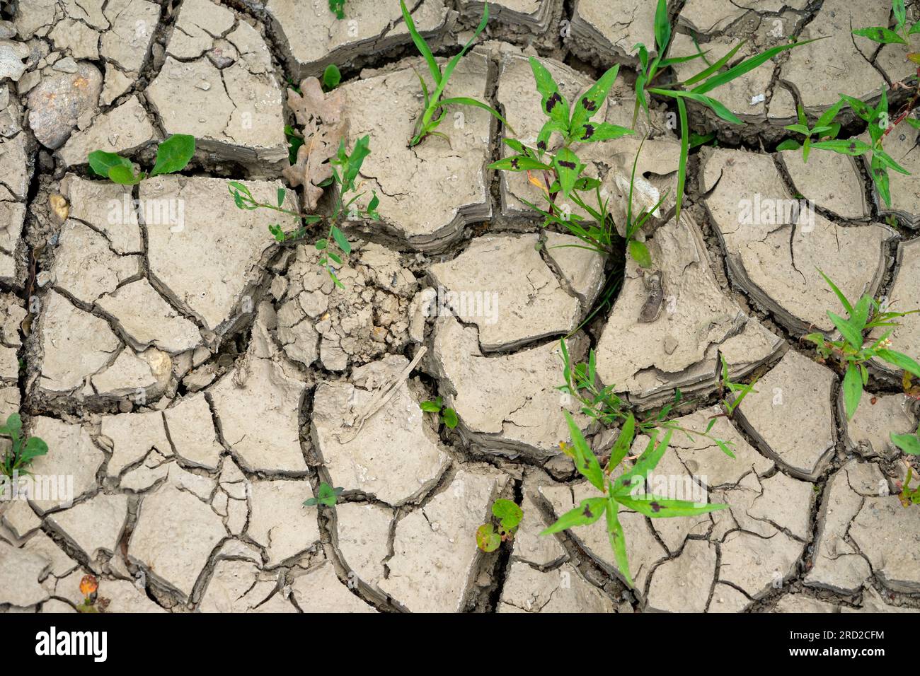 cracked earth in the ground climate change Stock Photo