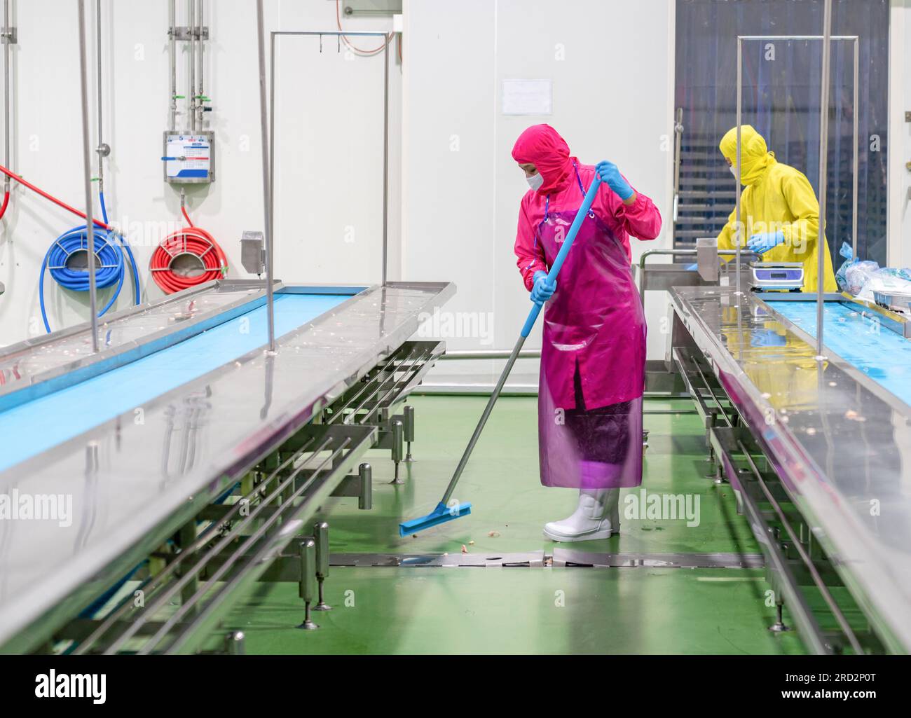 Hygiene worker cleaning floor in production line of food processing plant. Cleaning services Stock Photo