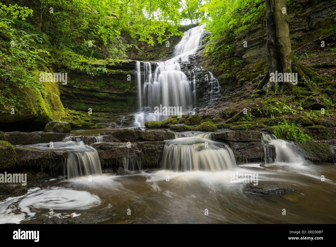 Scaleber Force waterfall, near Settle, Yorkshire Dales, England Stock Photo