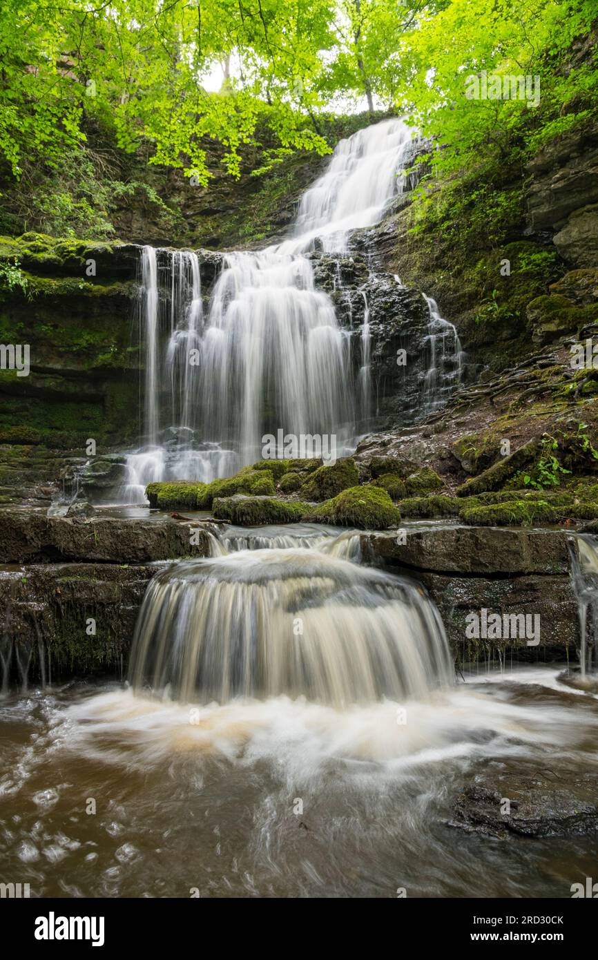 Scaleber Force waterfall, near Settle, Yorkshire Dales, England Stock Photo