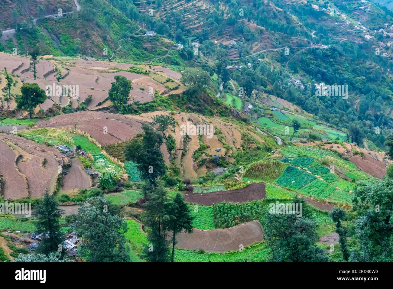 Terrace farming uttarakhand hires stock photography and images Alamy