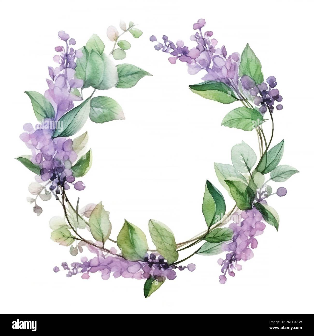 Watercolor wreath with patchouli: patchouli branch with leaves and flowers. Cosmetics and medical plant. Hand drawn illustration. Stock Photo