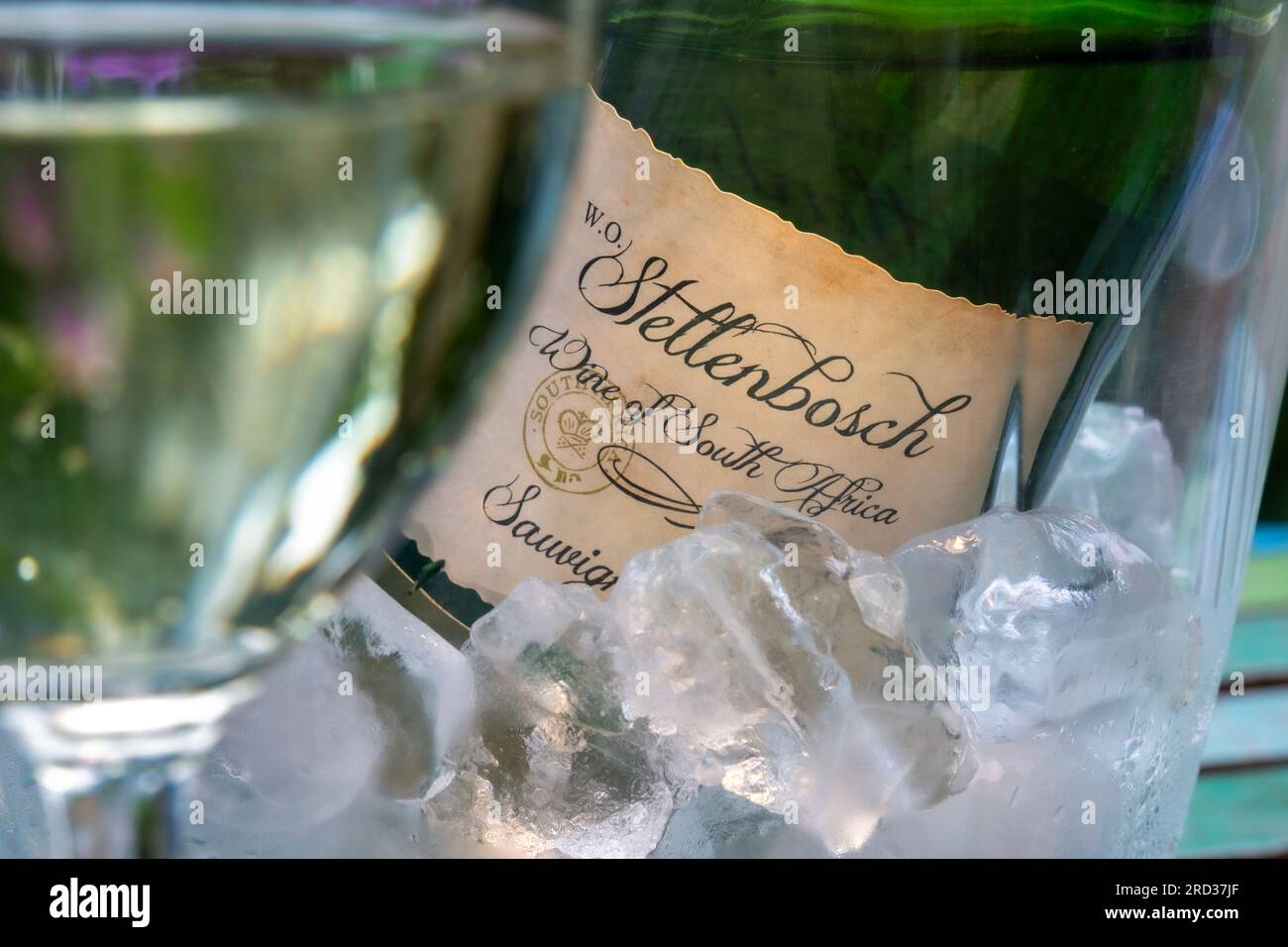Stellenbosch South Africa white wine Sauvignon Blanc bottle and label close up in ice cooler with wine glass in sunny alfresco garden situation Stock Photo