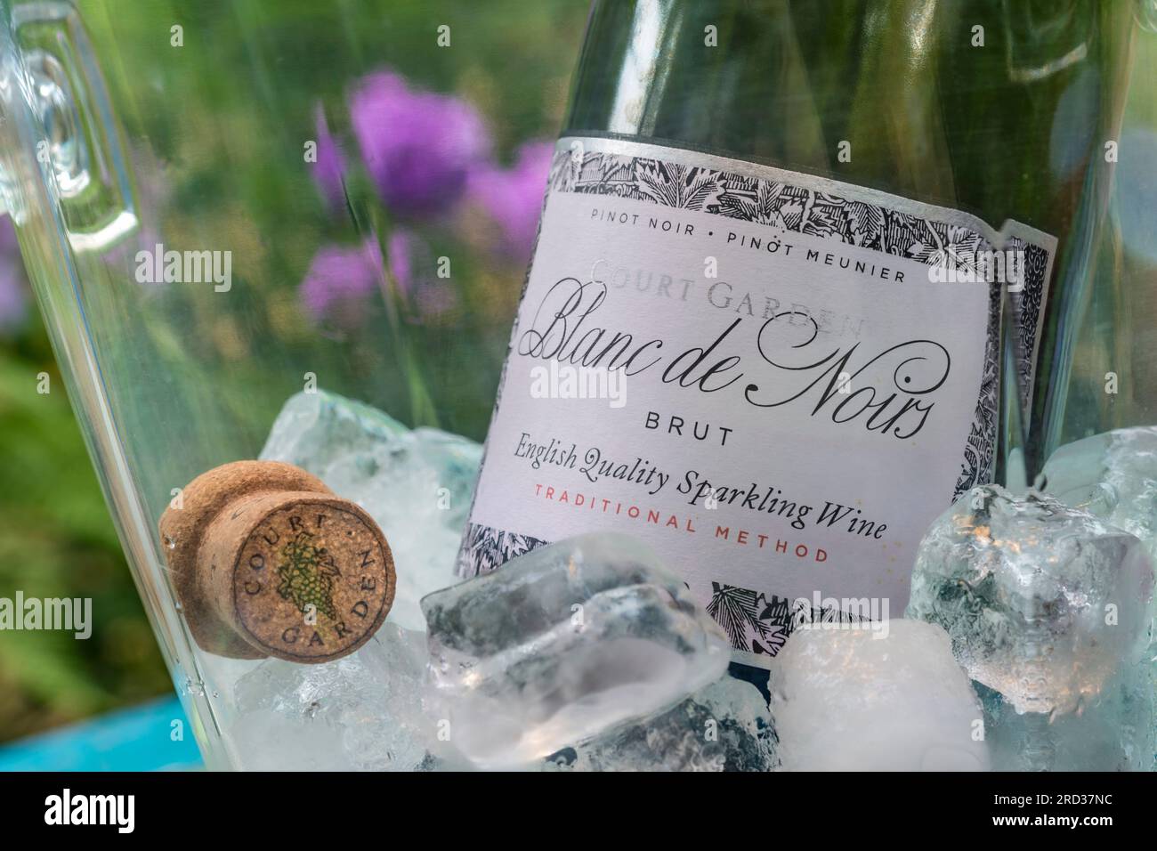English Sparkling Wine bottle label ‘Court Garden’ Blanc de Noirs bottle & cork, in wine cooler in garden terrace alfresco situation East Sussex UK Stock Photo