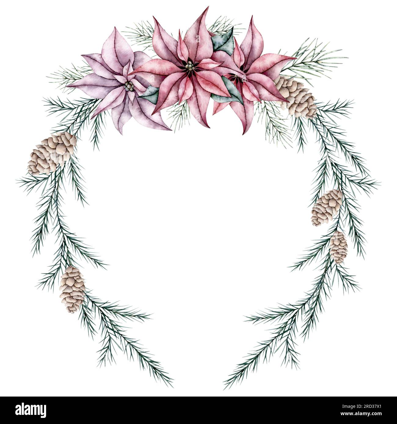 Christmas wreath of red poinsettia flower and emerald spruce branch ...