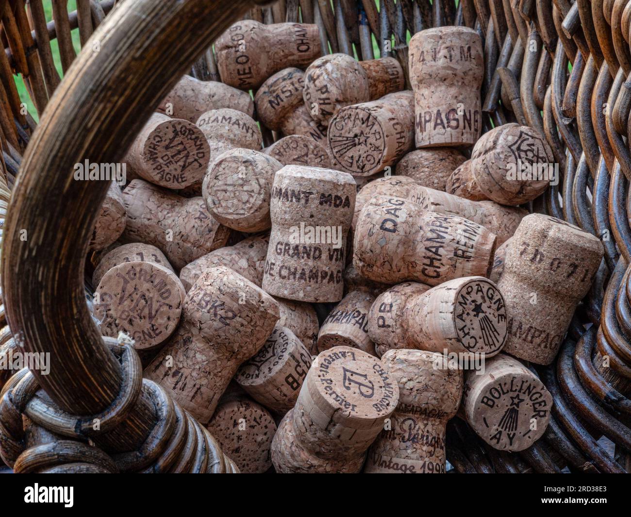 CHAMPAGNE CORKS HARVEST CONCEPT image of French grape pickers harvest basket with selection of various fine luxury champagne corks France Stock Photo