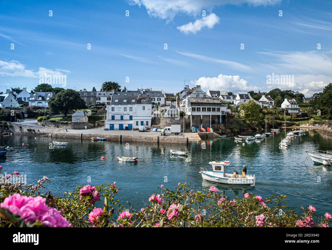 BRITTANY FISHING QUAY FLOWERS DAY BOAT Temperate landscape with fishing harbour and fishing boats at Doëlan Finistere Brittany France Stock Photo