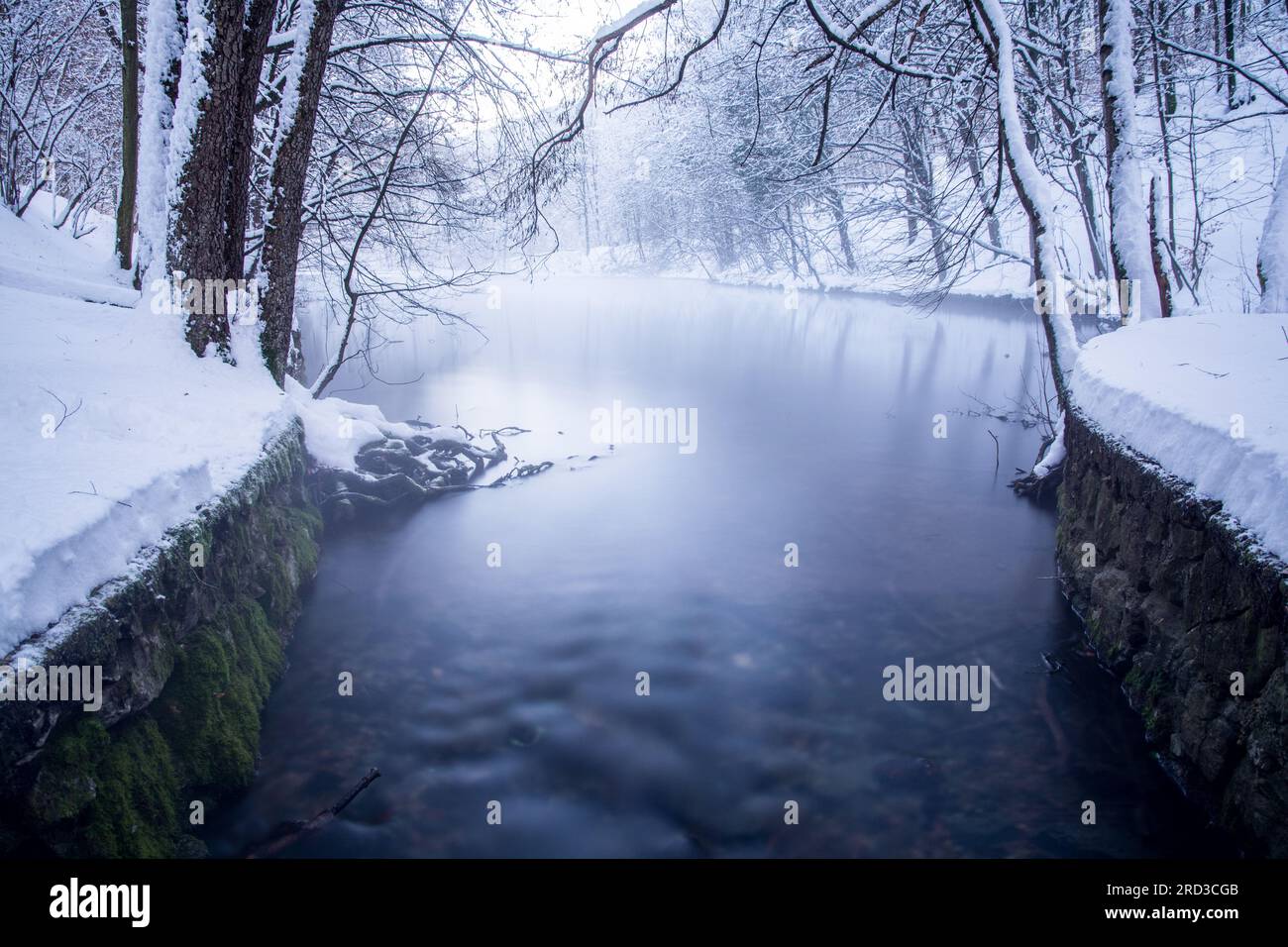 Frozen lake long tree hi-res stock photography and images - Alamy
