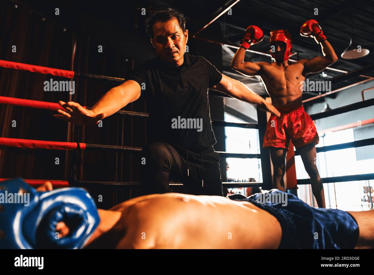 Boxing referee intervene, halting the fight to check fallen competitor