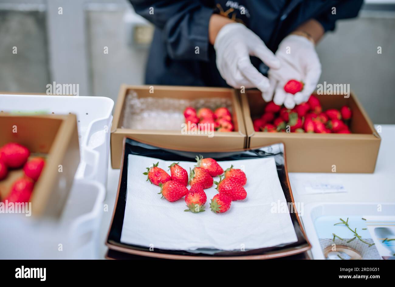 A revolutionary and advanced automated indoor strawberry farm delivers