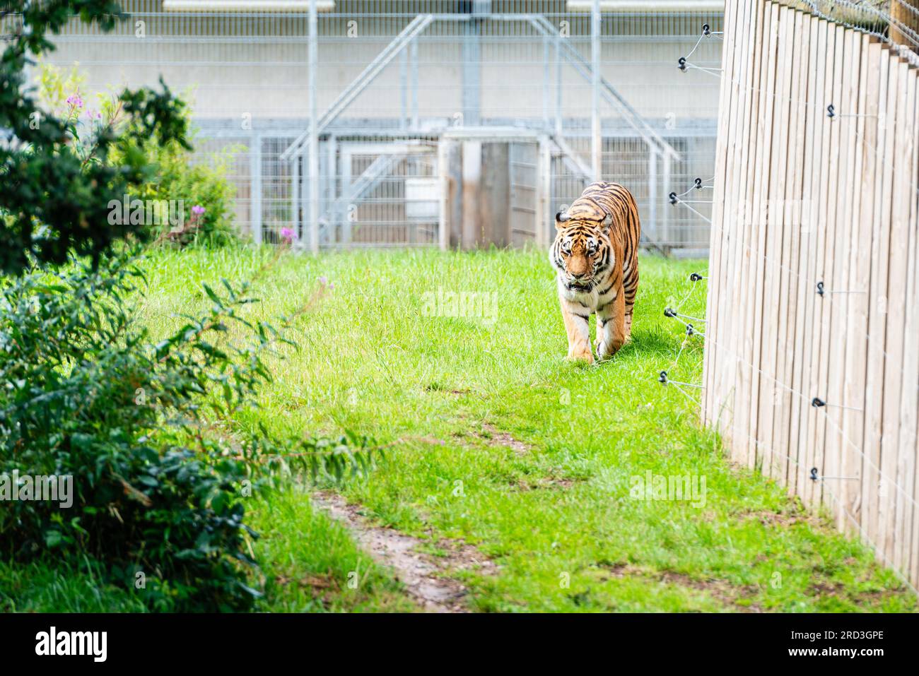 Uk Conservation Strips Hi res Stock Photography And Images Alamy yorkshire-wildlife-park