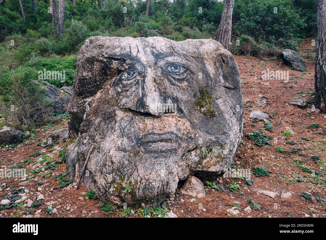 Painted big stone in forest - as troll face Stock Photo