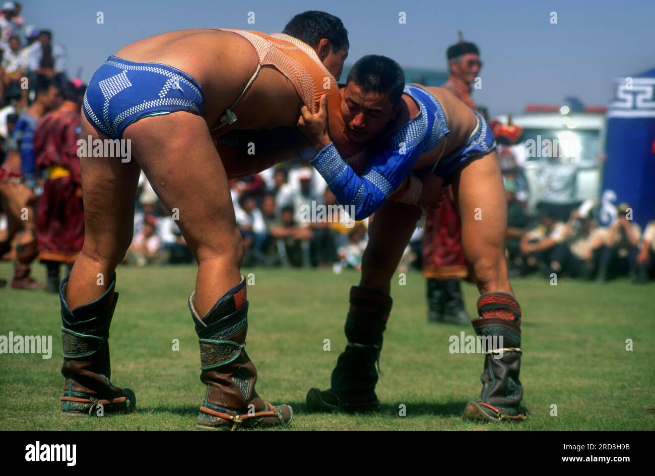 Asia Mongolia Naadam Festival or Eriin gurvan naadam -wrestlers at the festival - Stock Photo