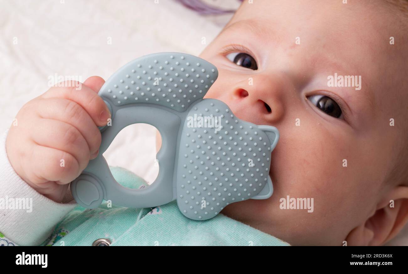 A baby boy plays with a teether during the eruption of the first teeth