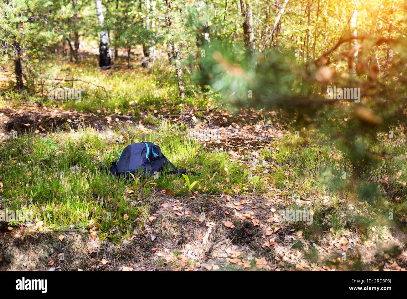 The man’s backpack lies on the grass in the forest. Missing person 