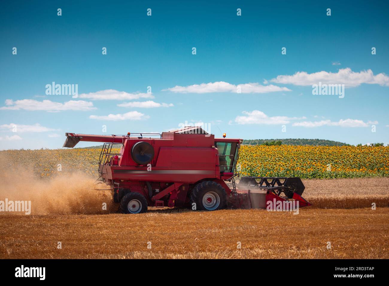 Combine harvester machine working in a wheat field Stock Photo - Alamy