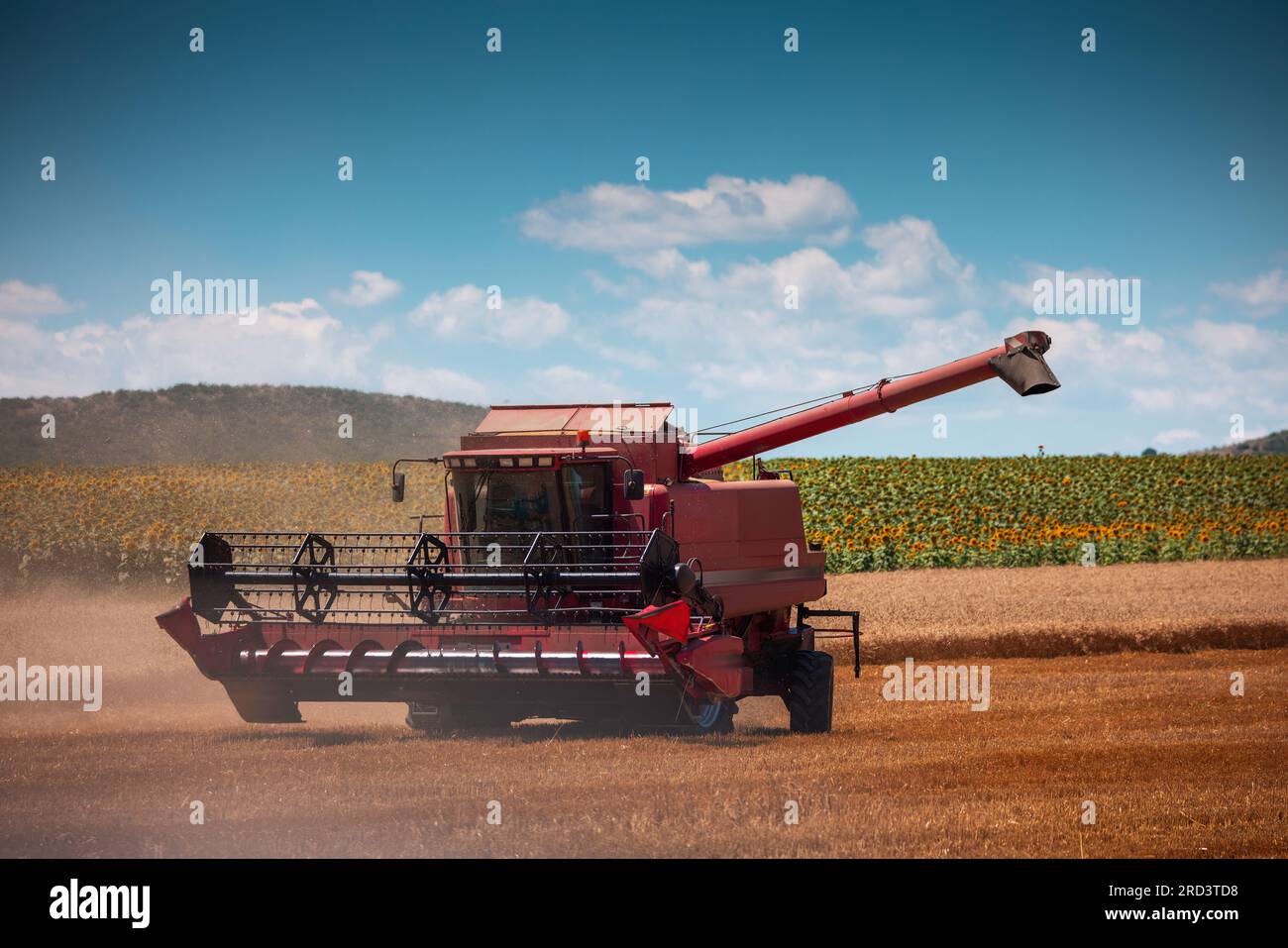 Combine harvester machine working in a wheat field Stock Photo - Alamy