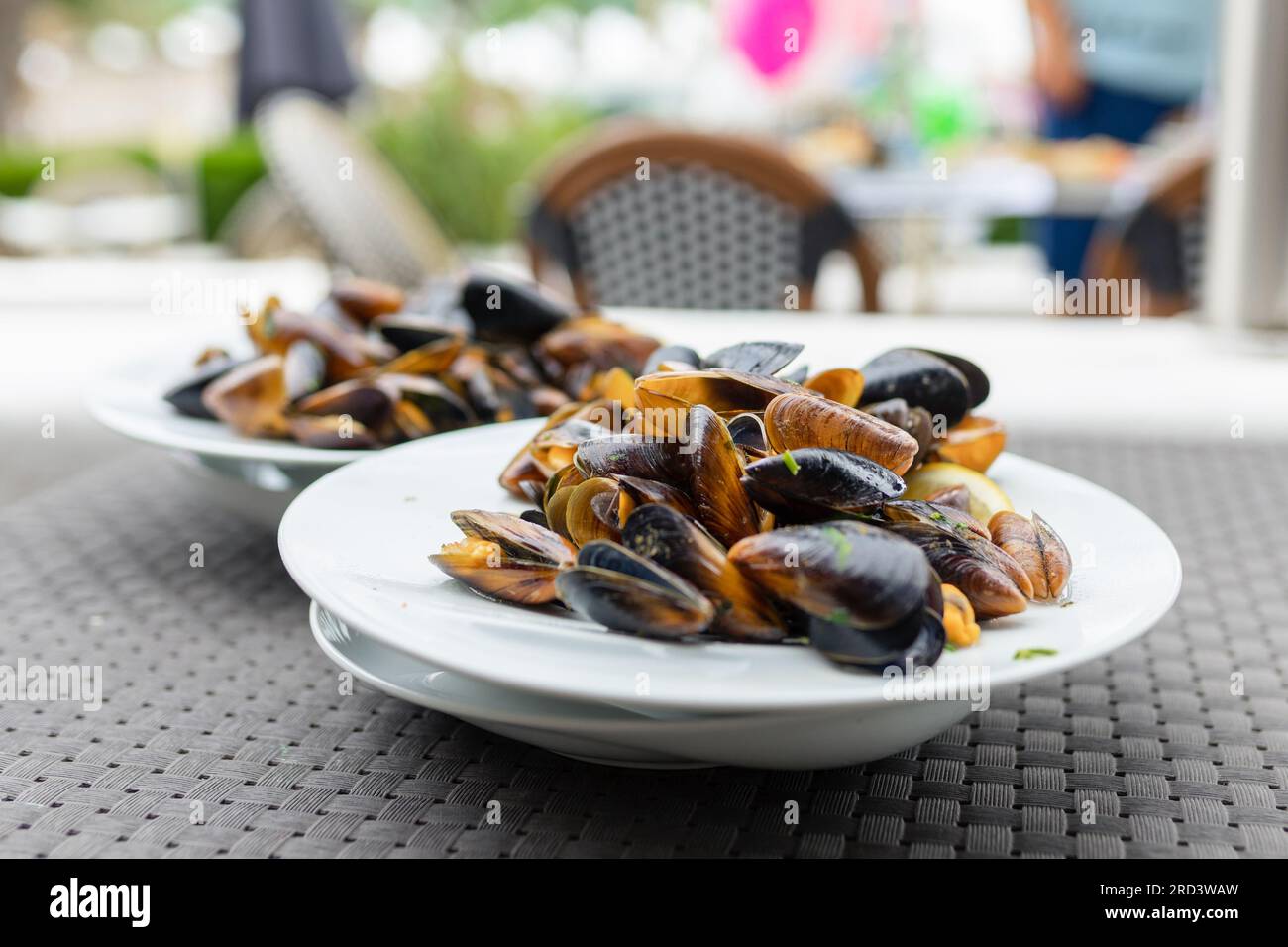 Steamed mussels in white wine sauce Stock Photo Alamy
