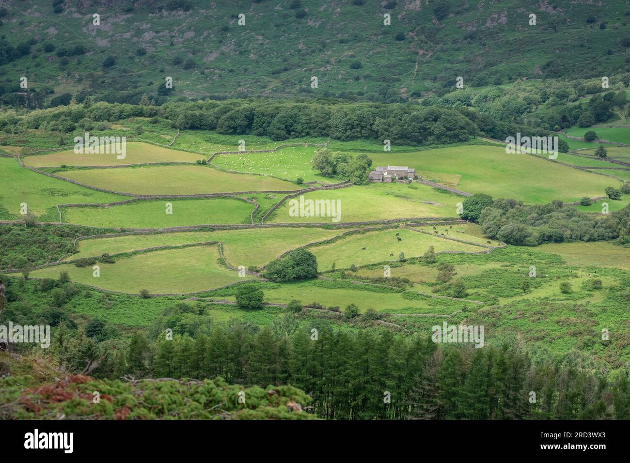 Eskdale fields, Lake District, Cumbria, UK Stock Photo