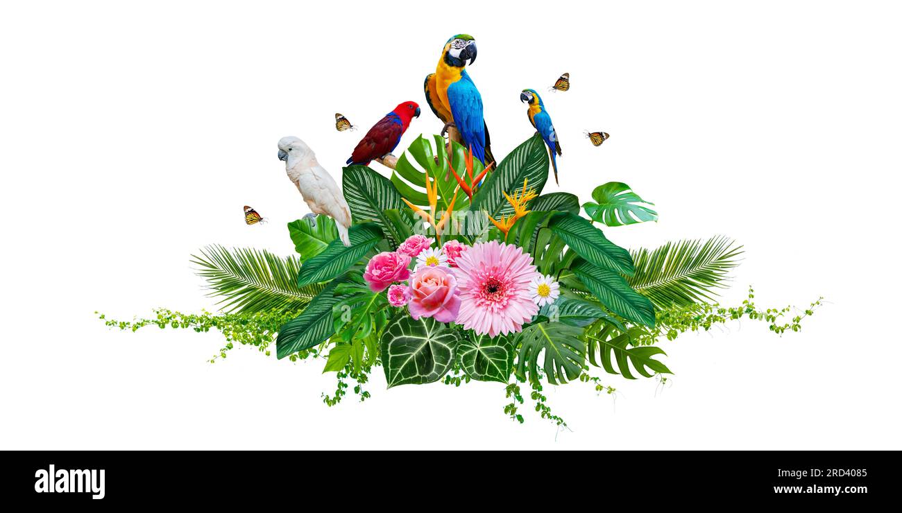 Cluster of bouquets and tropical leaves and with vines and macaws on white background. Isolate Stock Photo