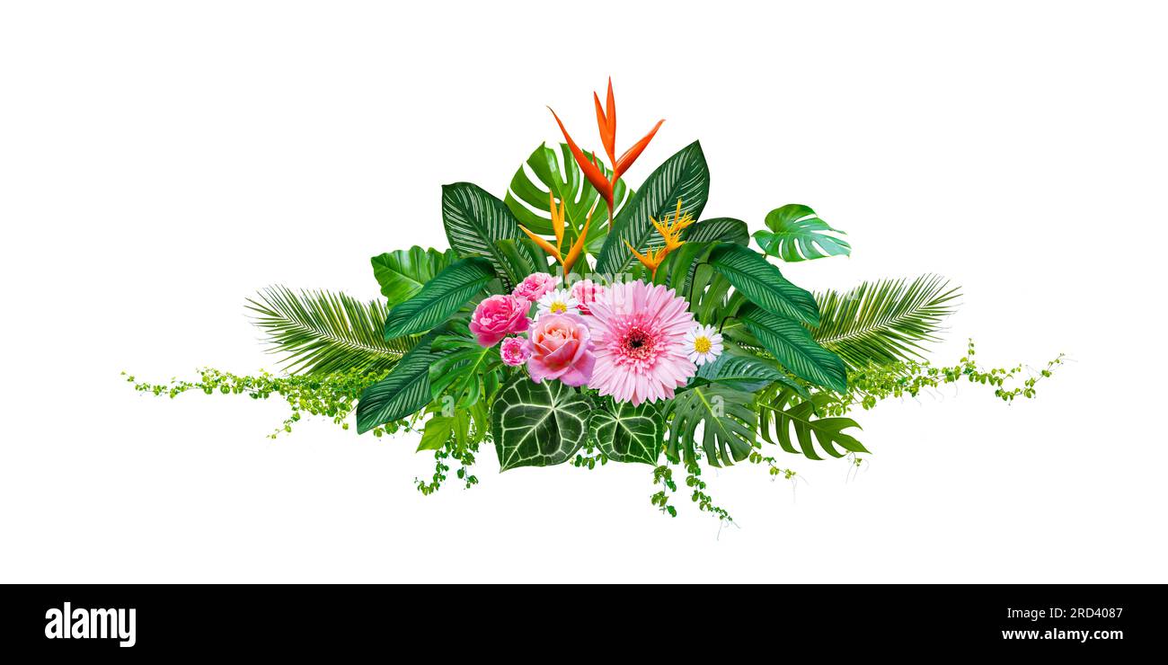 Cluster of bouquets and tropical jungle leaves and vines on white background. Isolate Stock Photo