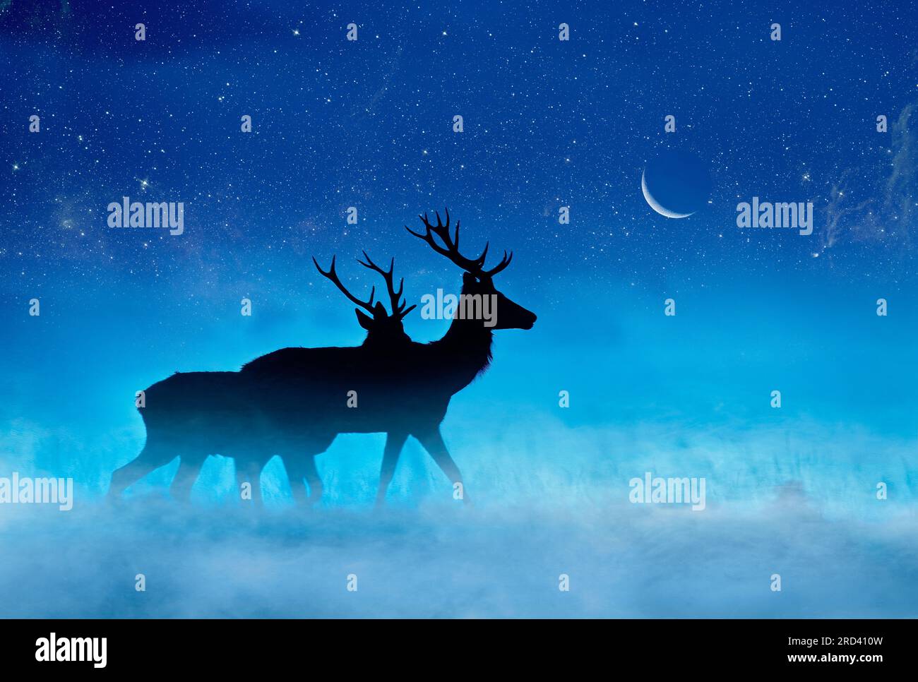 Two stags silhouetted in the mist on a starry night with crescent moon Stock Photo