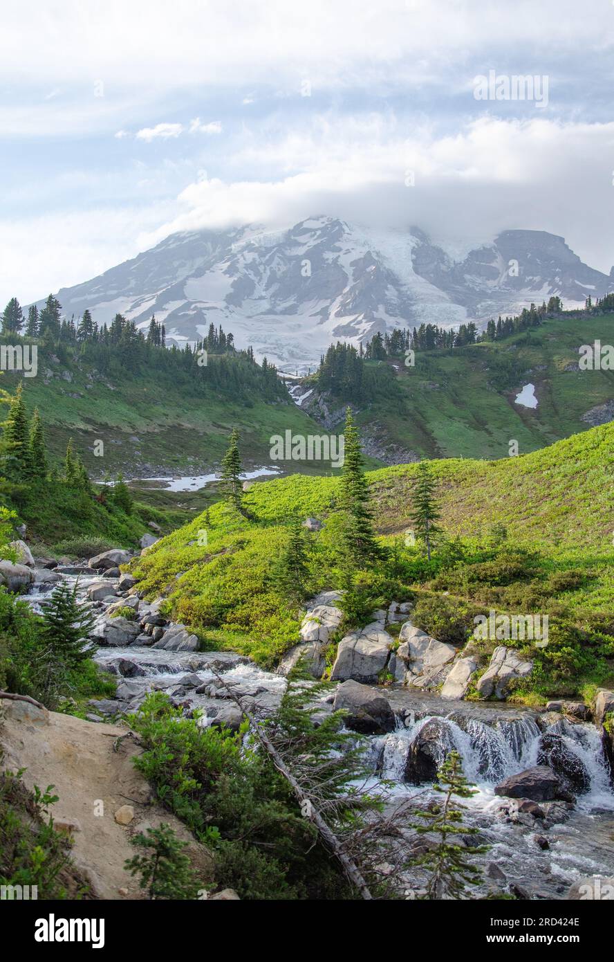 MT Rainier in Summer Stock Photo - Alamy
