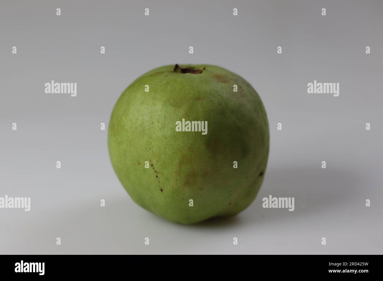 Perakka fruit hires stock photography and images Alamy