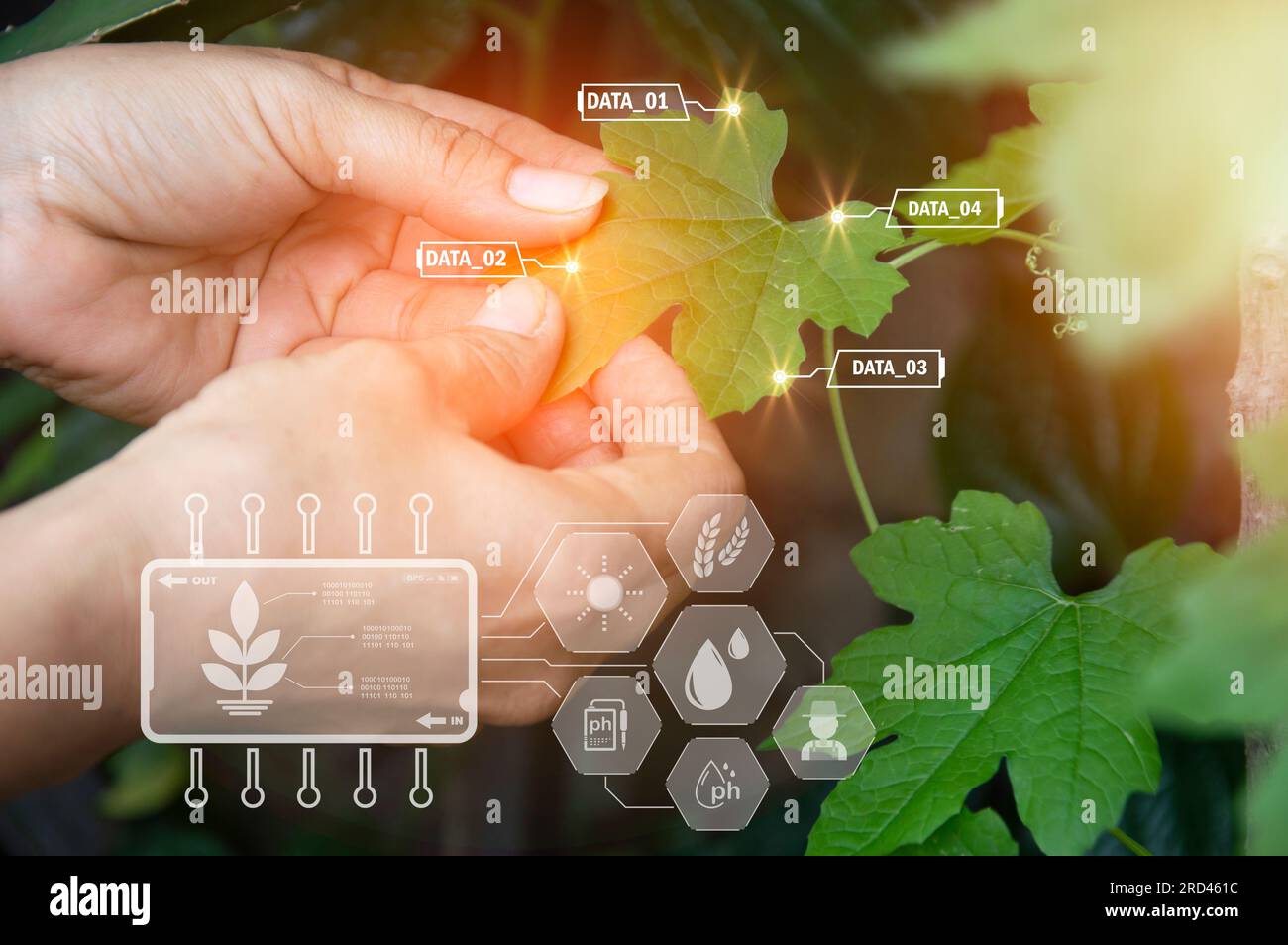 The Concept Of Using AI And Smart Farming Stock Photo - Alamy