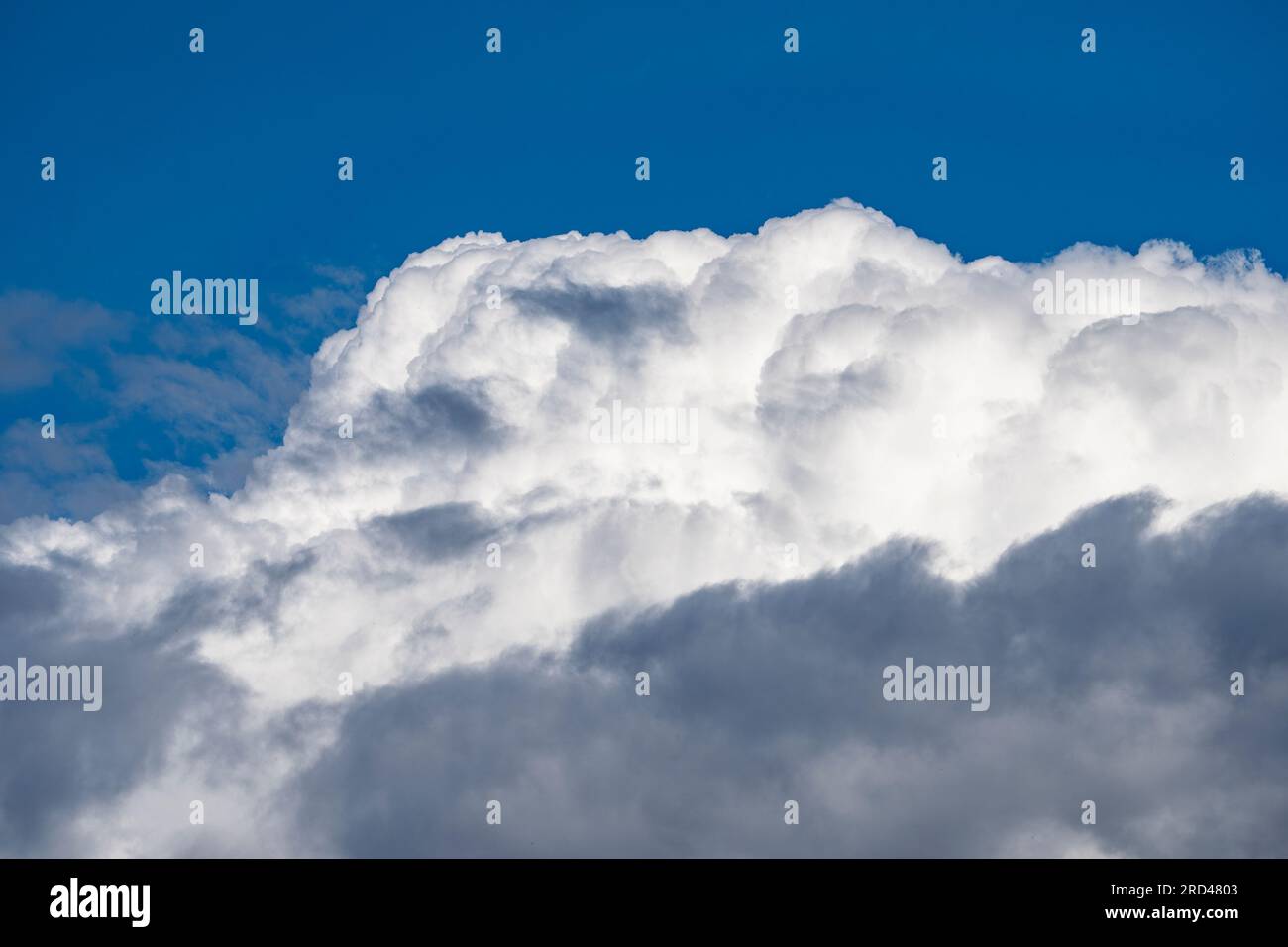 Cumulus cloud against a blue sky Stock Photo