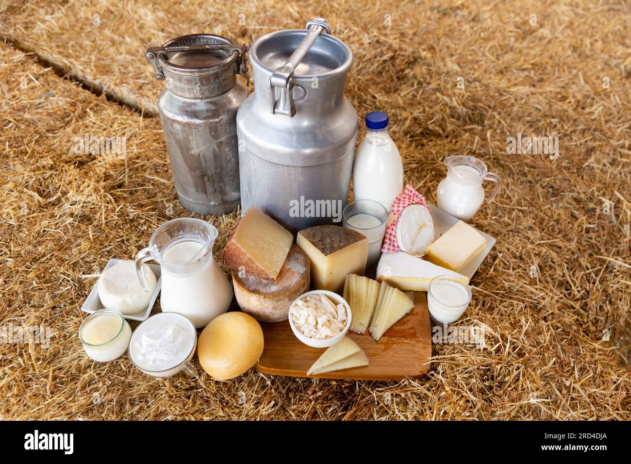 Milk and different dairy products at cowshed Stock Photo - Alamy