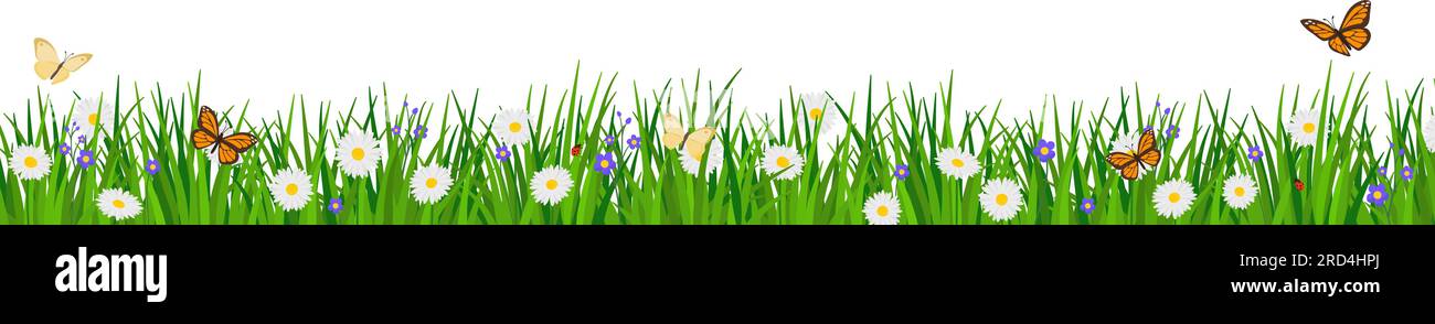 Lush grass with flowers and butterflies, banner with copy space Stock Vector