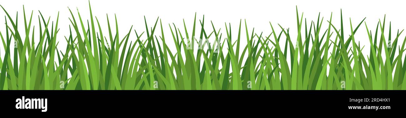 Lush grass and meadow close up isolated, ecology and environment concept Stock Vector