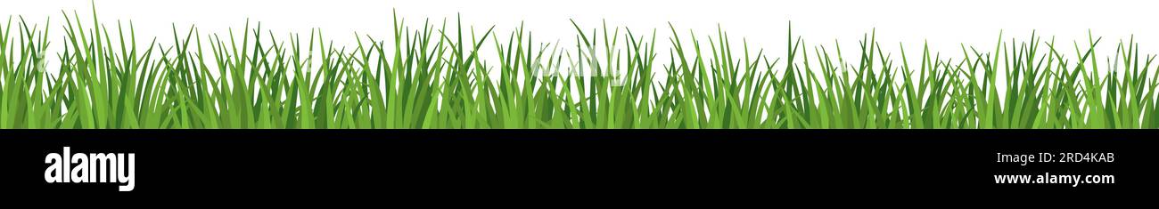 Lush grass and meadow close up isolated, ecology and environment concept Stock Vector