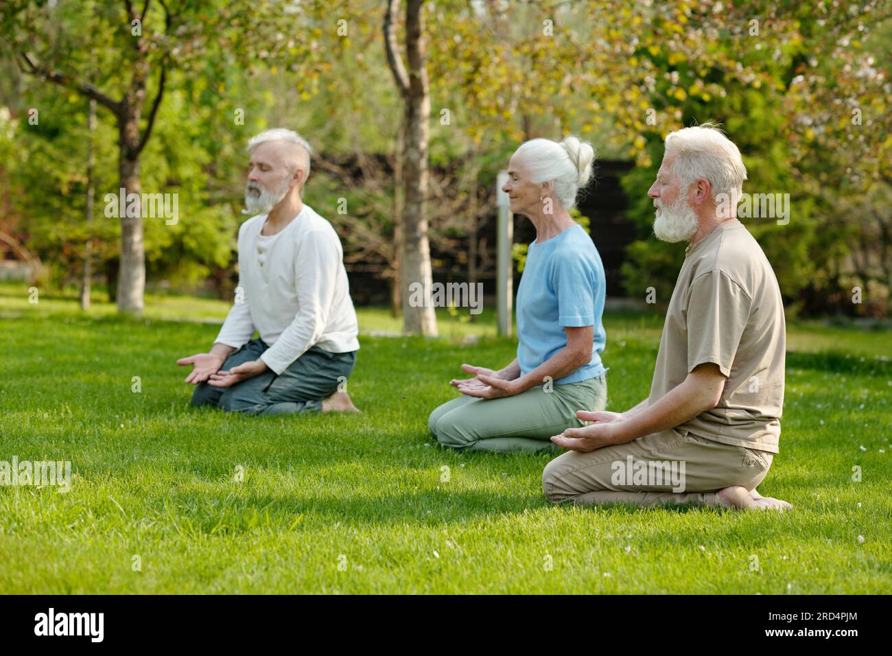 Back view of unrecognizable people performing Padmasana yoga pose