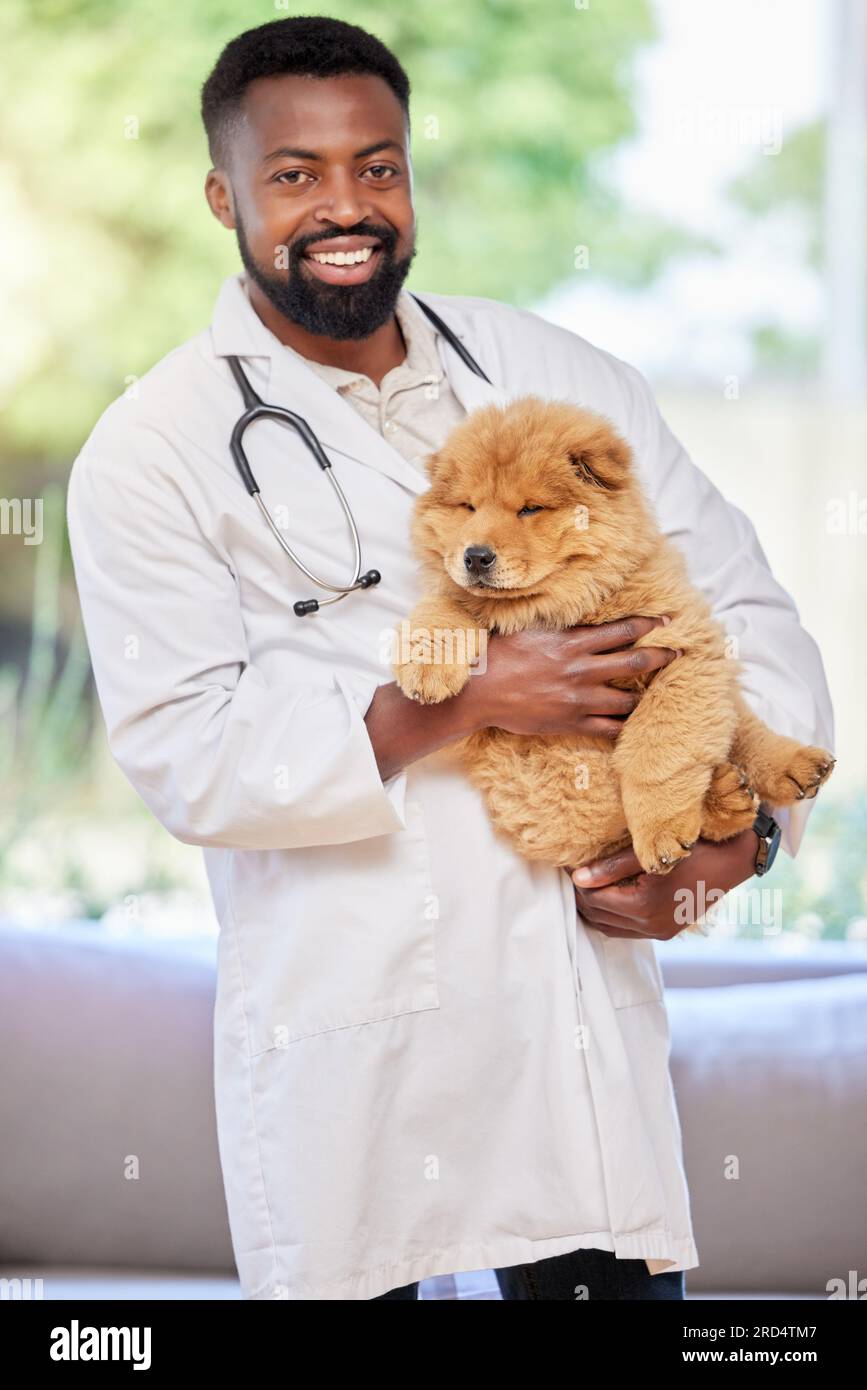 Black man, vet and portrait with puppy for clinic, medical and animal