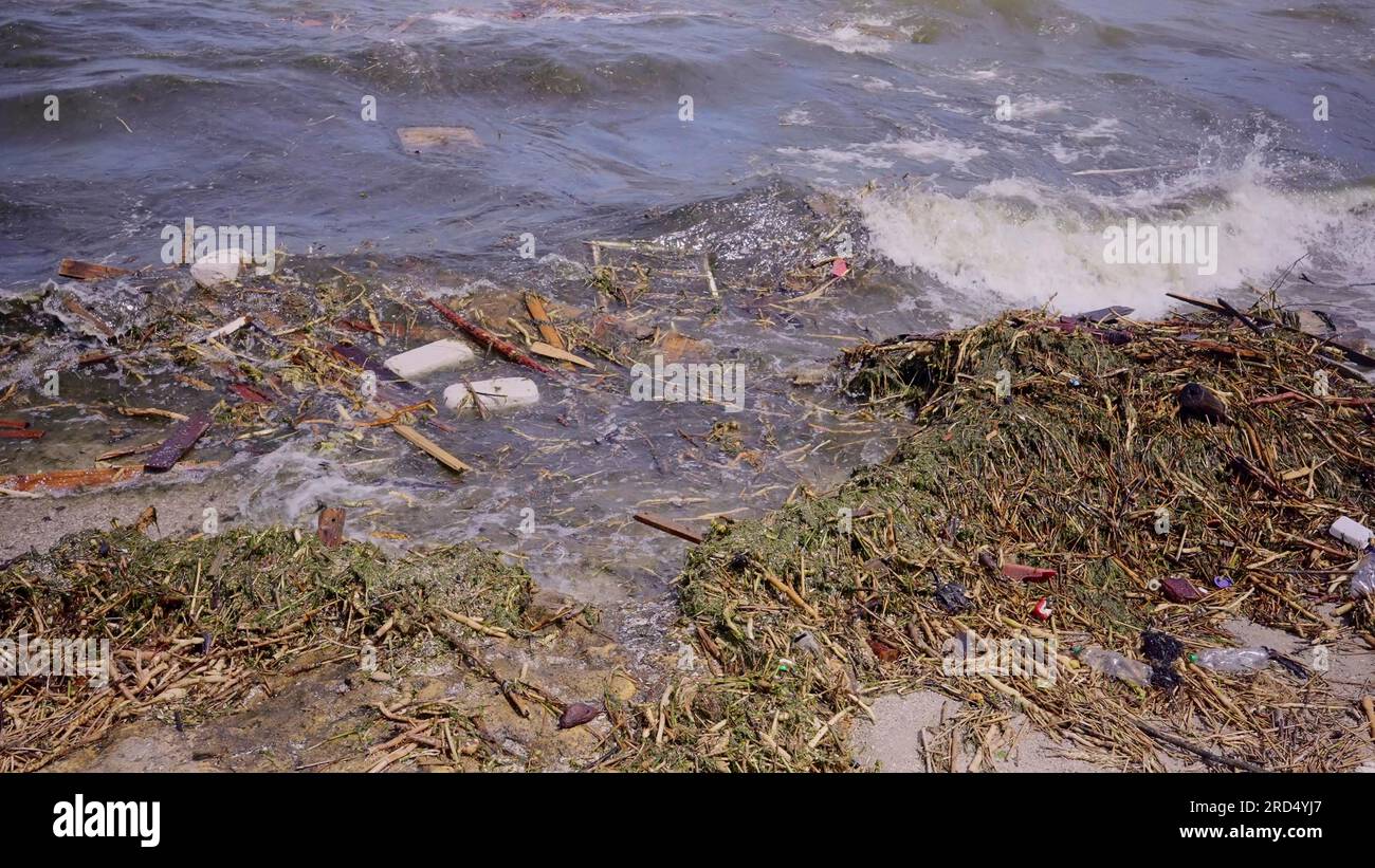 Close-up of floating debris has reached Black Sea beaches in Odessa, Ukraine. Environmental disaster caused by the explosion of Kakhovka Stock Photo