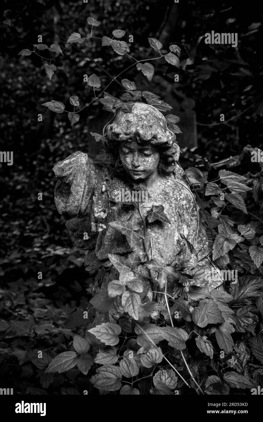 Black death london hi-res stock photography and images - Alamy