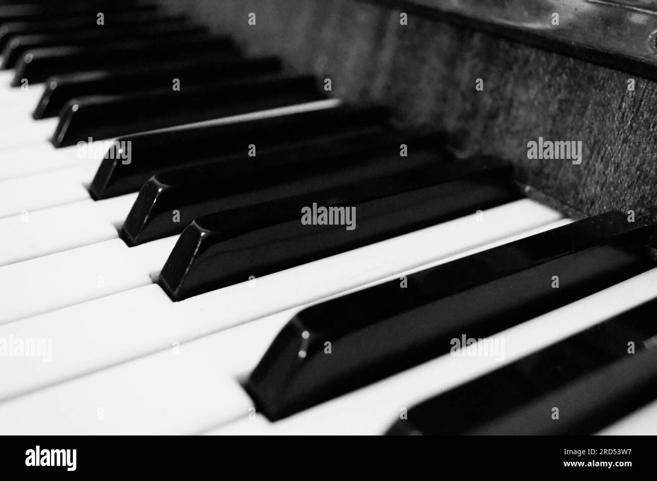 Black and white piano keyboard. Piano keyboard monochrome close-up