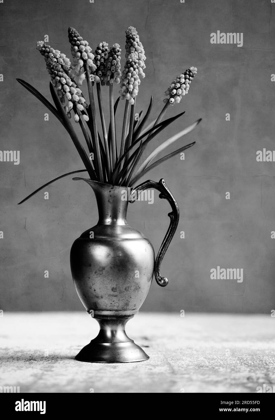Still Life with Dove Hyacinths in Old Metal Vase Stock Photo