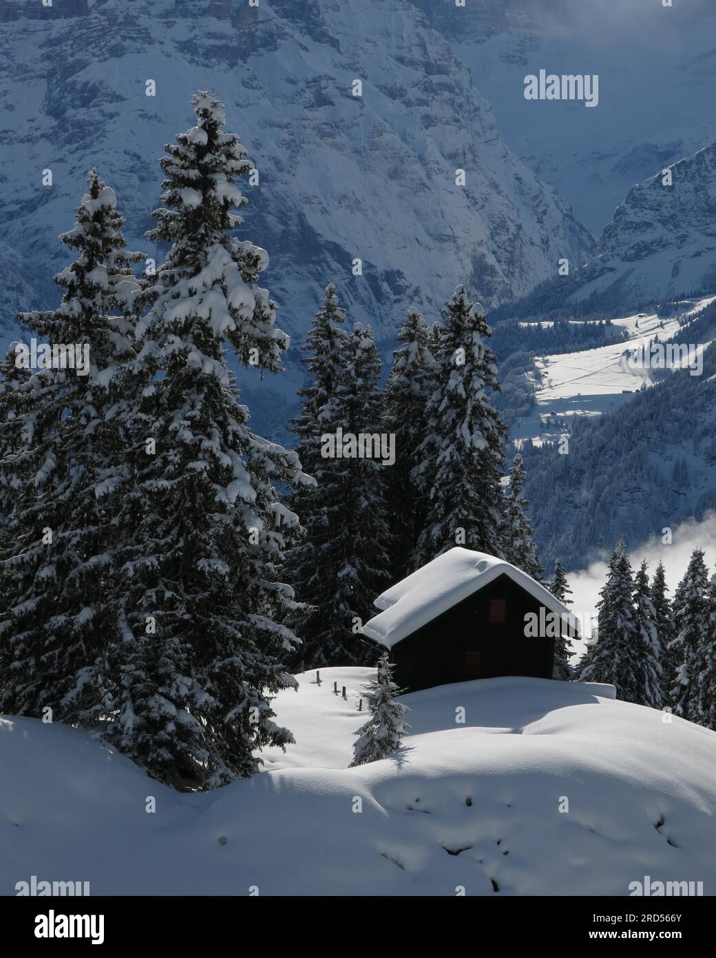 Winter scene in Braunwald, hut and forest Stock Photo